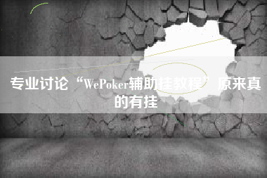 专业讨论“WePoker辅助挂教程”原来真的有挂 专业讨论“WePoker辅助挂教程”原来真的有挂