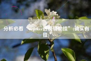 分析必看“wepoker透视辅助挂”(确实有挂)