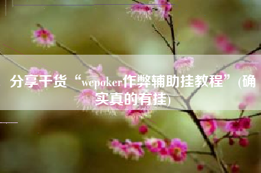 分享干货“wepoker作弊辅助挂教程”(确实真的有挂) 分享干货“wepoker作弊辅助挂教程”(确实真的有挂)
