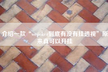 介绍一款“wepoker到底有没有挂透视”原来真可以开挂