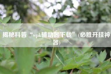 揭秘科普“wpk辅助器下载”(必胜开挂神器) 揭秘科普“wpk辅助器下载”(必胜开挂神器)