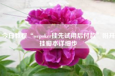 今日教程“wepoker挂先试用后付款”附开挂脚本详细步 今日教程“wepoker挂先试用后付款”附开挂脚本详细步