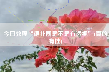 今日教程“德扑圈是不是有透视”(真的有挂) 今日教程“德扑圈是不是有透视”(真的有挂)