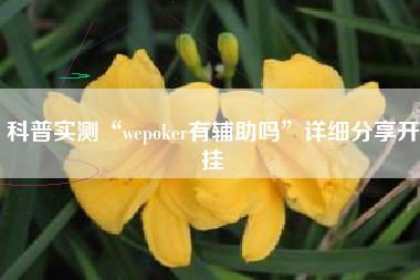 科普实测“wepoker有辅助吗”详细分享开挂 科普实测“wepoker有辅助吗”详细分享开挂