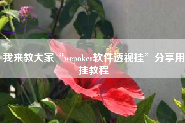 我来教大家“wepoker软件透视挂”分享用挂教程