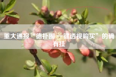 重大通报“德扑圈 一键透视购买”的确有挂 重大通报“德扑圈 一键透视购买”的确有挂