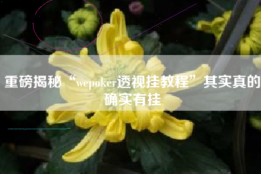 重磅揭秘“wepoker透视挂教程”其实真的确实有挂 重磅揭秘“wepoker透视挂教程”其实真的确实有挂