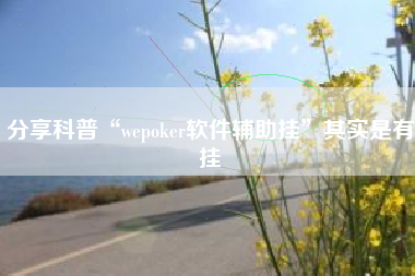 分享科普“wepoker软件辅助挂”其实是有挂 分享科普“wepoker软件辅助挂”其实是有挂