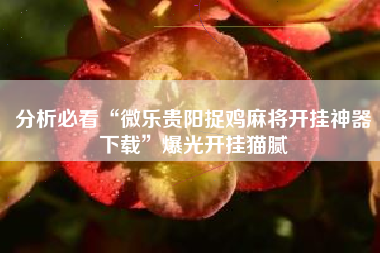 分析必看“微乐贵阳捉鸡麻将开挂神器下载”爆光开挂猫腻 分析必看“微乐贵阳捉鸡麻将开挂神器下载”爆光开挂猫腻