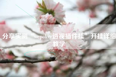 分享实测“wepoker透视插件挂”开挂详细教学 分享实测“wepoker透视插件挂”开挂详细教学