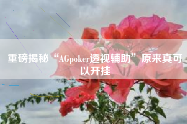 重磅揭秘“AGpoker透视辅助”原来真可以开挂