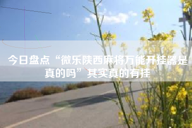 今日盘点“微乐陕西麻将万能开挂器是真的吗”其实真的有挂