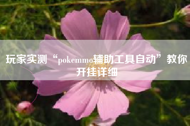玩家实测“pokemmo辅助工具自动”教你开挂详细