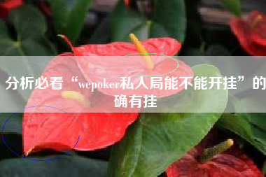 分析必看“wepoker私人局能不能开挂”的确有挂
