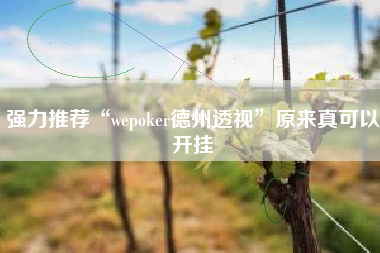 强力推荐“wepoker德州透视”原来真可以开挂 强力推荐“wepoker德州透视”原来真可以开挂
