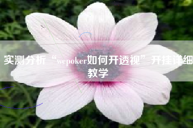 实测分析“wepoker如何开透视”开挂详细教学 实测分析“wepoker如何开透视”开挂详细教学