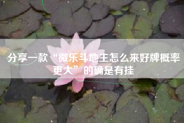 分享一款“微乐斗地主怎么来好牌概率更大”的确是有挂 分享一款“微乐斗地主怎么来好牌概率更大”的确是有挂