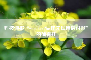科技通报“wepokerPlus挂先试用后付款”的确有挂