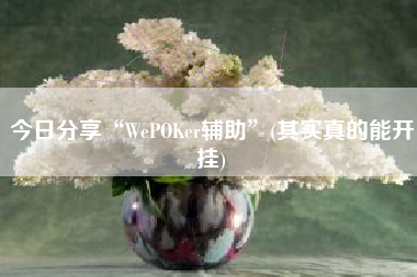 今日分享“WePOKer辅助”(其实真的能开挂)