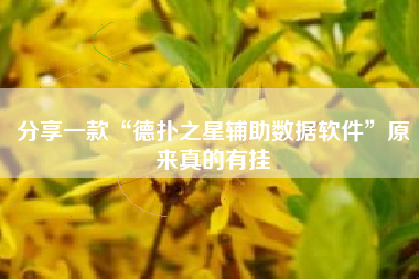 分享一款“德扑之星辅助数据软件”原来真的有挂