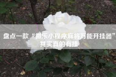 盘点一款“微乐小程序麻将万能开挂器”其实真的有挂