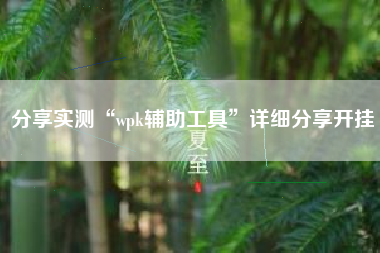 分享实测“wpk辅助工具”详细分享开挂 分享实测“wpk辅助工具”详细分享开挂