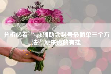 分析必看“wpk辅助会封号最简单三个方法”原来真的有挂