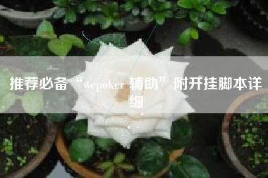 推荐必备“wepoker 辅助”附开挂脚本详细