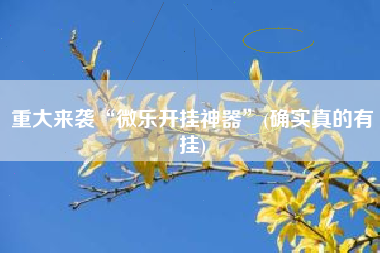 重大来袭“微乐开挂神器”(确实真的有挂) 重大来袭“微乐开挂神器”(确实真的有挂)