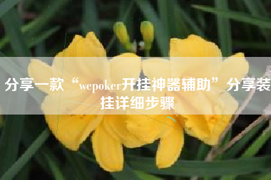 分享一款“wepoker开挂神器辅助”分享装挂详细步骤