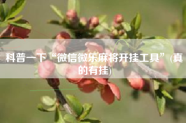 科普一下“微信微乐麻将开挂工具”(真的有挂)