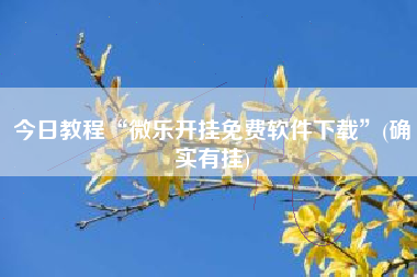 今日教程“微乐开挂免费软件下载”(确实有挂) 今日教程“微乐开挂免费软件下载”(确实有挂)