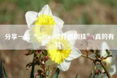 分享一款“wePOke软件透明挂”(真的有挂)