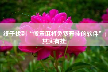 终于找到“微乐麻将免费开挂的软件”(其实有挂)