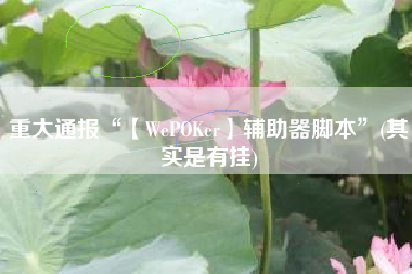 重大通报“【WePOKer】辅助器脚本”(其实是有挂) 重大通报“【WePOKer】辅助器脚本”(其实是有挂)