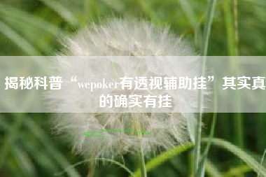 揭秘科普“wepoker有透视辅助挂”其实真的确实有挂 揭秘科普“wepoker有透视辅助挂”其实真的确实有挂