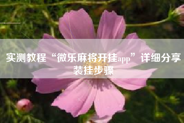 实测教程“微乐麻将开挂app”详细分享装挂步骤 实测教程“微乐麻将开挂app”详细分享装挂步骤