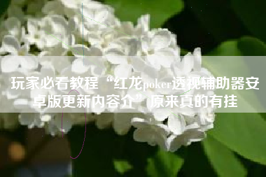 玩家必看教程“红龙poker透视辅助器安卓版更新内容介”原来真的有挂 玩家必看教程“红龙poker透视辅助器安卓版更新内容介”原来真的有挂