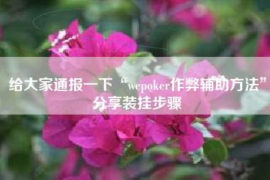 给大家通报一下“wepoker作弊辅助方法”分享装挂步骤