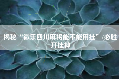 揭秘“微乐四川麻将能不能用挂”(必胜开挂神