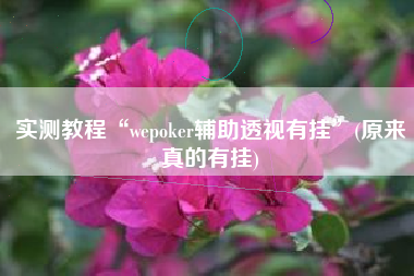 实测教程“wepoker辅助透视有挂”(原来真的有挂)