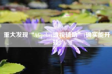 重大发现“AGpoker透视辅助”(确实能开挂)
