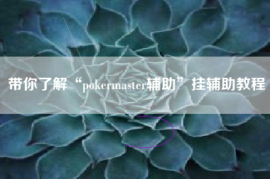 带你了解“pokermaster辅助”挂辅助教程
