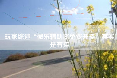 玩家综述“微乐辅助器免费开挂”其实是有挂