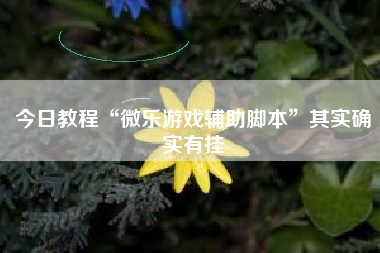 今日教程“微乐游戏辅助脚本”其实确实有挂