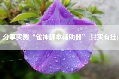 分享实测“雀神脚本辅助器”(其实有挂)