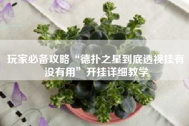 玩家必备攻略“德扑之星到底透视挂有没有用”开挂详细教学