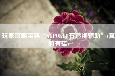 玩家攻略宝典“AGPOKER有透视辅助”(真的有挂)