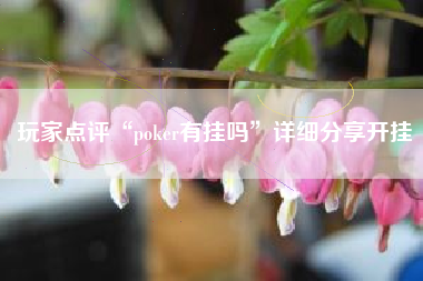 玩家点评“poker有挂吗”详细分享开挂