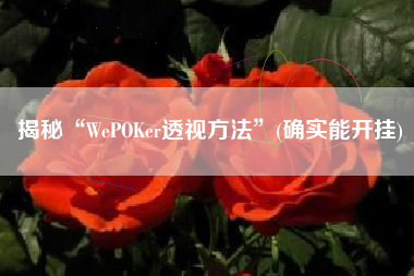 揭秘“WePOKer透视方法”(确实能开挂)